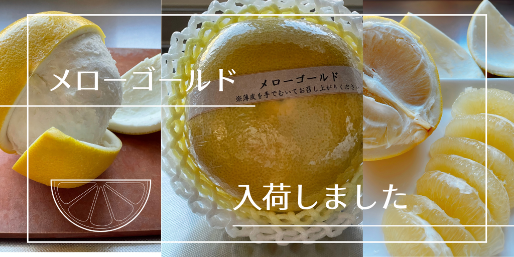 メローゴールド