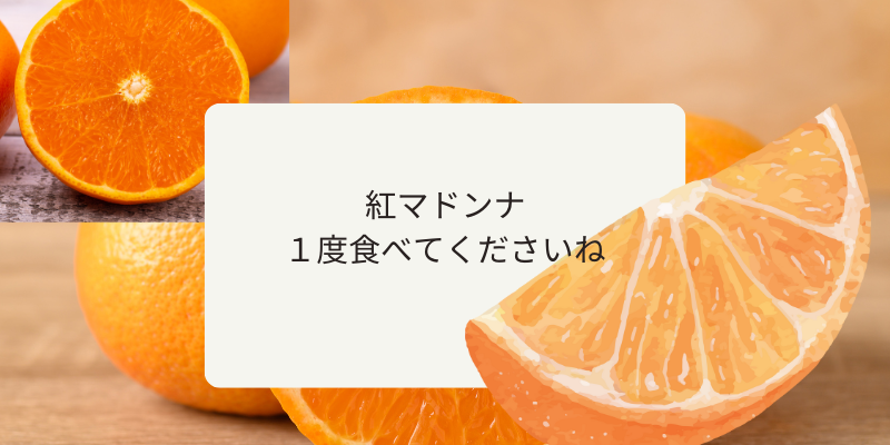 紅マドンナ