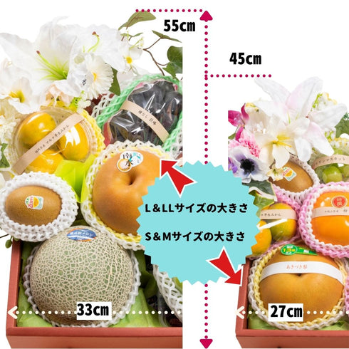 お供え果物大きさ比較